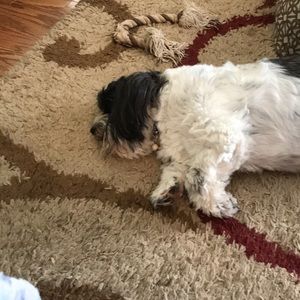 Meet your Posher, Brandy